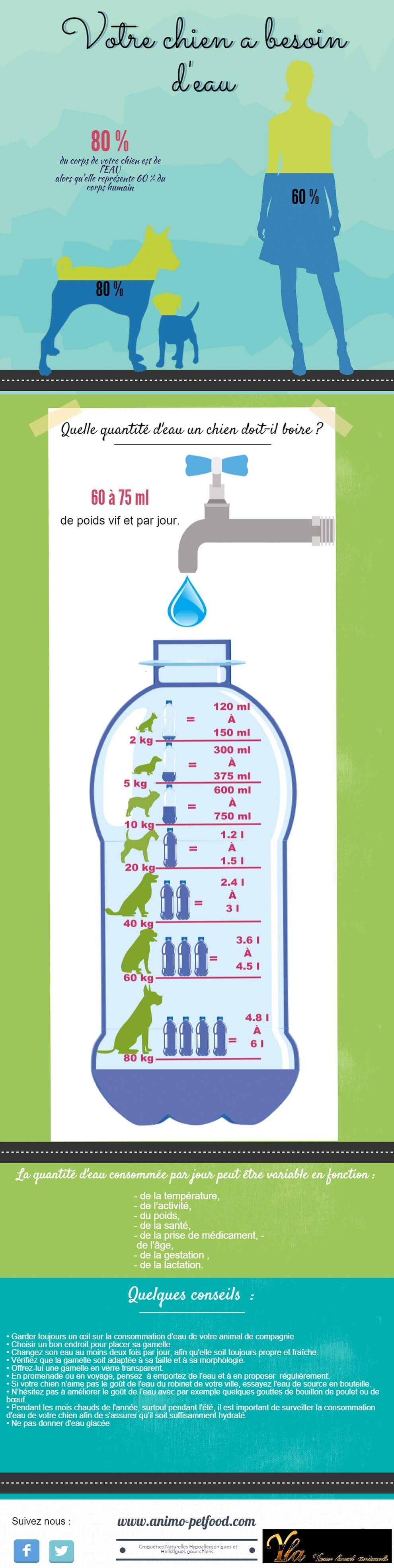 infographie-eau-pour-le-chien